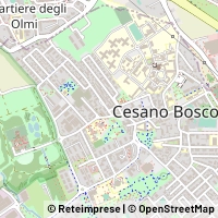 Map Cesano Boscone