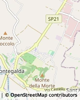 Scuole Pubbliche Montegalda,36047Vicenza