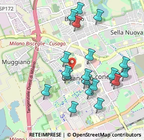 Mappa Istituto Sacra Famiglia, 20090 Cesano Boscone MI, Italia (0.964)