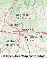 Agenzie di Animazione e Spettacolo Bussolengo,37012Verona