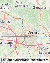 Agenzie di Animazione e Spettacolo Verona,37136Verona