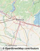 Trasportatori Meccanici Brescia,25131Brescia