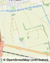 Formaggi e Latticini - Dettaglio Novara,28100Novara