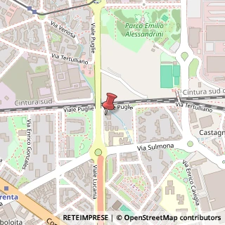 Mappa Viale Puglie, 22, 20139 Milano, Milano (Lombardia)