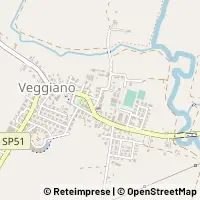 Kart Veggiano