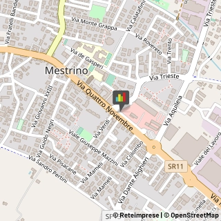 Autoveicoli Elettrici Mestrino,35035Padova