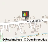 Trasporti Refrigerati Pianiga,30030Venezia