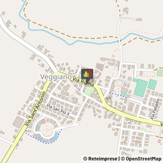 Palestre e Centri Fitness Veggiano,35030Padova