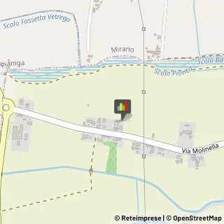 Frutta e Verdura - Dettaglio Pianiga,30034Venezia