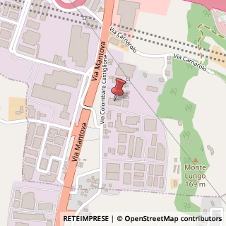 Mappa Via Colombare di Castiglione, 45, 25015 Desenzano del Garda, Brescia (Lombardia)