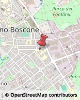 Via Giuseppe Garibaldi, 32,20090Cesano Boscone