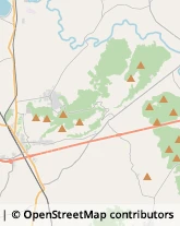 Autotrasporti Marzano Appio,81035Caserta