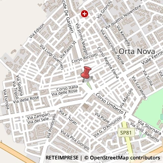 Mappa Piazza Pietro Nenni, 53, 71045 Orta Nova, Foggia (Puglia)