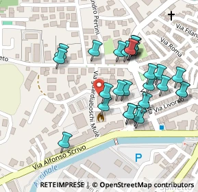 Mappa Via Guardia Bosco Mulè, 89822 Serra San Bruno VV, Italia (0.11481)