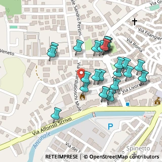 Mappa Piazza Pietro Nenni, 89822 Serra San Bruno VV, Italia (0.11481)
