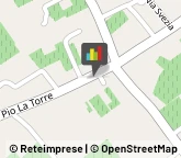 Pizzerie,91020Trapani