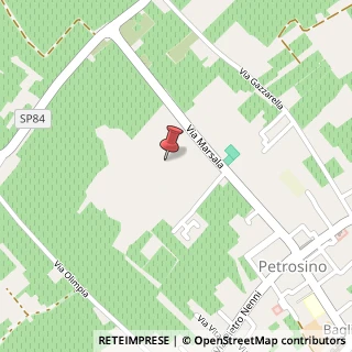 Mappa Via Alessandro Manzoni, 33, 91020 Petrosino, Trapani (Sicilia)