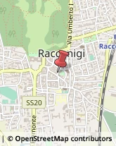 Via Giuseppe Garibaldi, 10,12035Racconigi