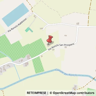Mappa Via Ronchi San Prospero, 26, 42015 Correggio, Reggio nell'Emilia (Emilia Romagna)