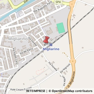 Mappa Viale Giacomo Matteotti, 26, 44027 Migliarino, Ferrara (Emilia Romagna)