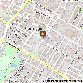 Consulenza Industriale Correggio,42015Reggio nell'Emilia