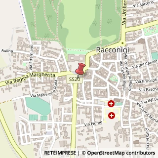 Mappa Piazza c.alberto 8, 12035 Racconigi, Cuneo (Piemonte)