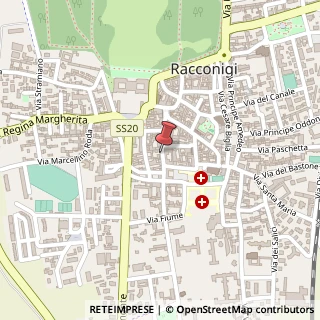Mappa Via Giuseppe A. Levis, 46, 12035 Racconigi, Cuneo (Piemonte)