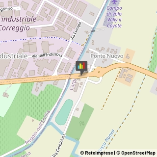 Equitazione - Impianti e Corsi Carpi,41012Modena