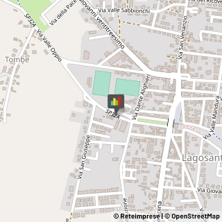 Consulenze Speciali Lagosanto,44023Ferrara