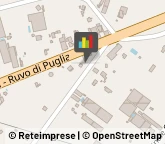 Automobili - Elaborazioni Terlizzi,70038Bari