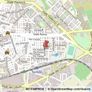 Mappa Via tripoli 13/c, 70038 Terlizzi, Bari (Puglia)