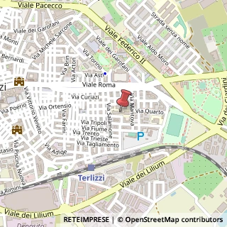 Mappa Via Salomone, 70038 Terlizzi, Bari (Puglia)
