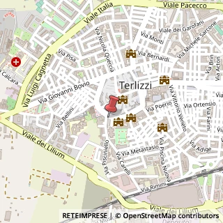 Mappa Corso Dante Alighieri, 77, 70038 Terlizzi, Bari (Puglia)