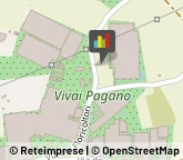 Giardinaggio - Servizio Ruvo di Puglia,70037Bari