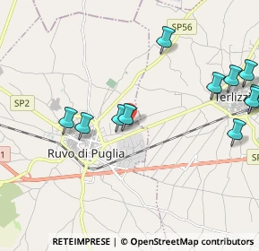 Mappa Via dei Floricoltori, 70037 Ruvo di Puglia BA, Italia (2.55636)