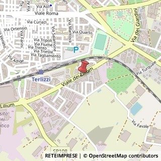 Mappa Viale del Lilium, 21, 70038 Terlizzi, Bari (Puglia)
