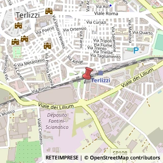 Mappa Via Cortici, 9, 70038 Terlizzi, Bari (Puglia)