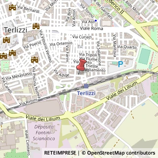 Mappa Via adige 10, 70038 Terlizzi, Bari (Puglia)
