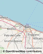 Agenzie di Animazione e Spettacolo Bari,70123Bari