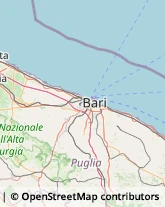 Agenzie di Animazione e Spettacolo Bari,70100Bari