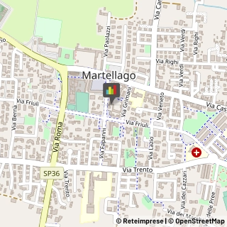 Piercing e Tatuaggi Martellago,30030Venezia