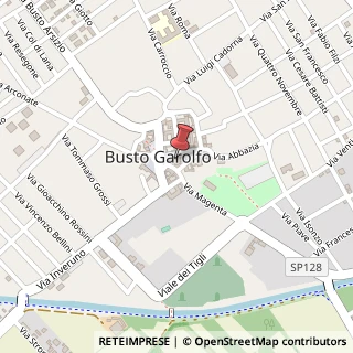 Mappa Piazza Lombardia, 3, 20020 Busto Garolfo, Milano (Lombardia)
