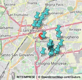 Mappa Via Martiri della Libertà, 20093 Cologno Monzese MI, Italia (1.481)