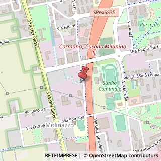 Mappa Via Po, 100, 20032 Cormano, Milano (Lombardia)