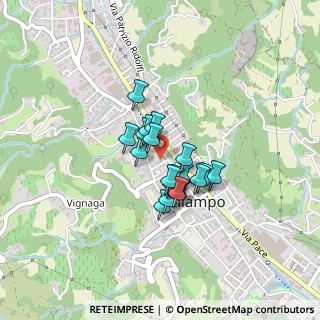 Mappa Via Merloni Madre Clelia, 36072 Chiampo VI, Italia (0.263)