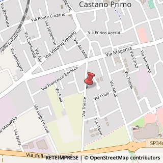 Mappa Via Trieste, 8, 20022 Castano Primo, Milano (Lombardia)