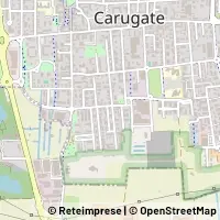 地图 Carugate