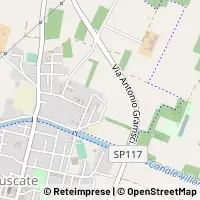 Map Buscate