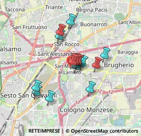Mappa Via Fabio Filzi, 20093 Cologno Monzese MI, Italia (1.312)