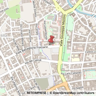 Mappa Via Battaglione Framarin, 14, 36100 Vicenza, Vicenza (Veneto)
